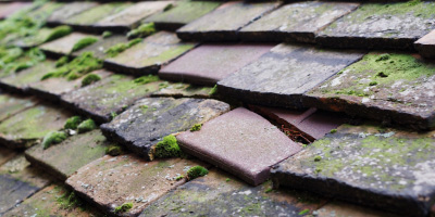 Earley roof repair costs